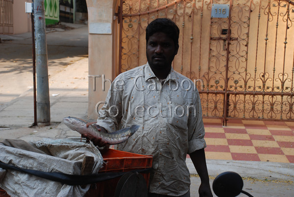 DSC 0026 
 Man selling live fish in Hyderabad, India. 
 Keywords: india street trader